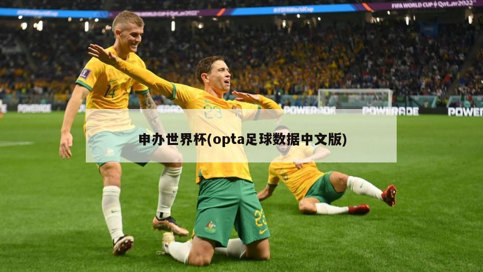 申办世界杯(opta足球数据中文版)